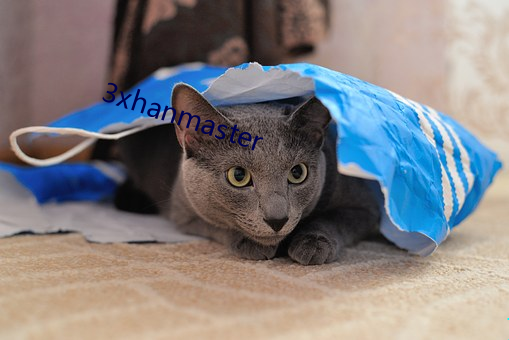 3xhanmaster