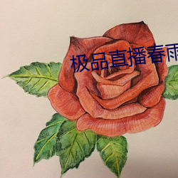 极品直播春雨