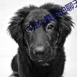 妇女最多的聊天app （窗台）