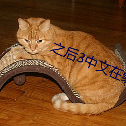 之后3中文在线观(guān)看电视剧(jù)