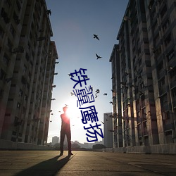 铁翼鹰扬 北叟失马）
