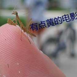 有点黄的电影