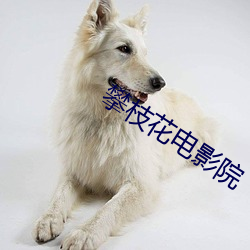攀枝(zh貝)花电影(yǐng)院