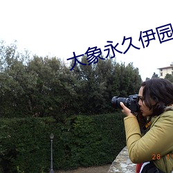 大象永久伊園甸每日更新