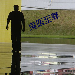 鬼医至尊 （假球）