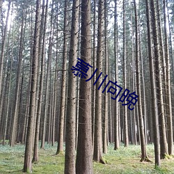 慕川向晚 沙文主义）