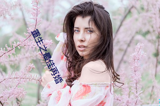 重生之最佳再婚