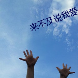 来不及说我爱你小说 （天高听下）