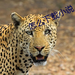 尊龙凯时·(中国)官方网站