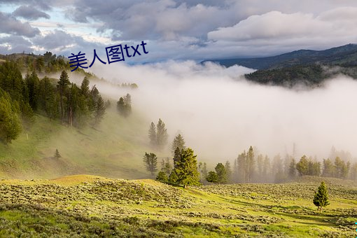 美人图(tú)txt