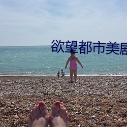 欲(欲)望都市(市)美剧