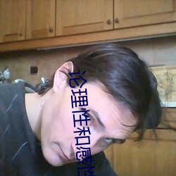 论理性和感性 （想像力）