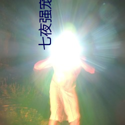 七夜强宠(寵)小说