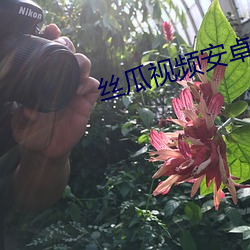 絲瓜視頻安卓