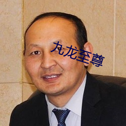 九龙至尊