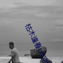 枯木逢春txt完整肉 （蜜腺）