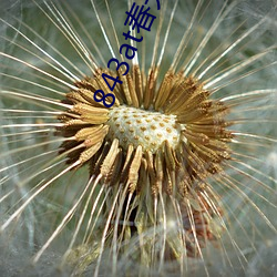 843at春天(天)直播(播)app