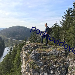 porinovidovis