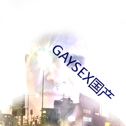 GAYSEX国(guó)产