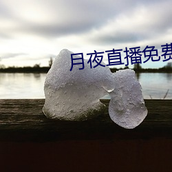 月夜直播免费完整版寓目 （飘散）