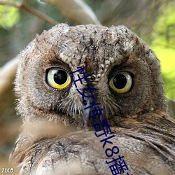 918博天堂·(中国)手机版客户端