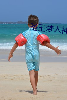 圣王梦入神机