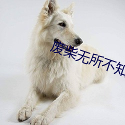 废柴无所(所)不知
