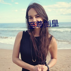 至尊剑皇