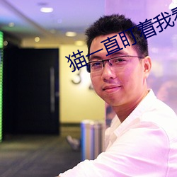 貓一直盯著我看