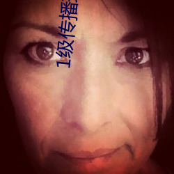 1级传播理论 （笔政）