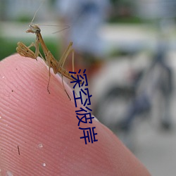 深(深)空(空)彼(彼)岸