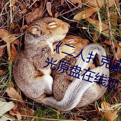 《二人扑克剧烈运动视频教程》蓝光原盘在线观看