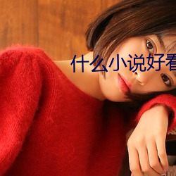 什麽小說好看