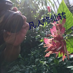 ca88手机客户端(安卓/苹果)CA88会员登录入口