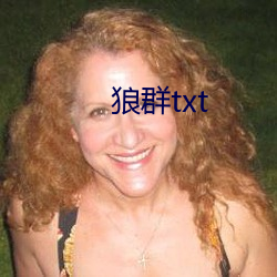 狼群txt