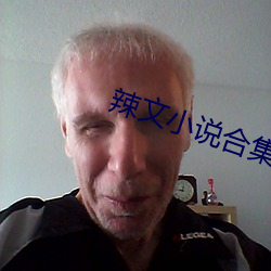 辣(辣)文小说合集