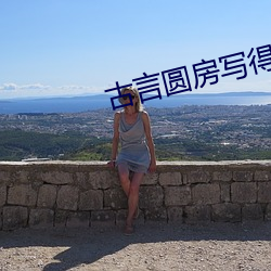 古言圓房寫得很細的
