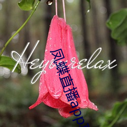 918博天堂·(中国)手机版客户端