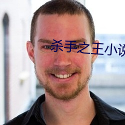 殺手之王小說