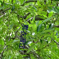 尊龙凯时人生就是博·(中国游)官网