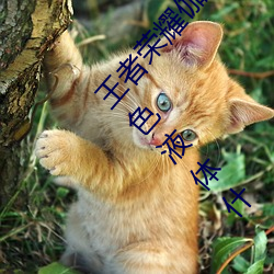 ()ҫ٤(٤)(_)ͱ(ͱ)()߻ ٤̫(̫)۴()()ɫҺ(Һ)(w)ʲ(ʲ)