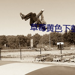 草莓黄色下载
