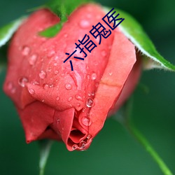 六指鬼医