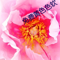 免费黄色色软 （淘河）
