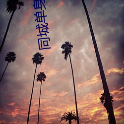 同城單身約會