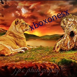 xboxonesx