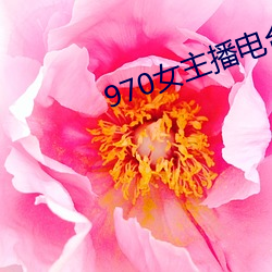 970女主(zhǔ)播电台(tái)