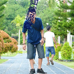 降服(fú)高(gāo)官老公(gōng)