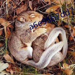 a6e95b7dd7c94f5d9262