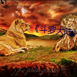 《斗罗大陆》 （入圣超凡）